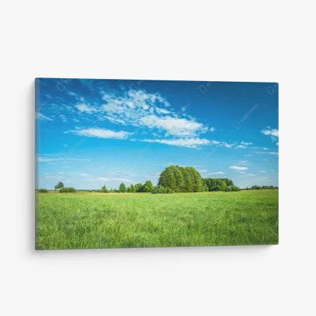 Tableau sur toile paysage de prairie sous ciel bleu – Wallnifity®