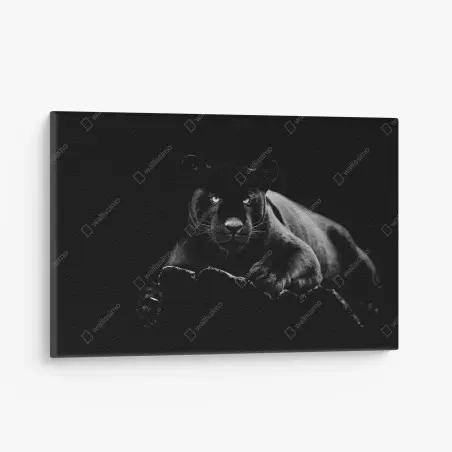 Tableau sur toile regard perçant de la panthère noire – Wallnifity®