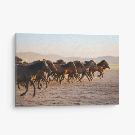 Tableau sur toile troupeau de chevaux yilki au galop à Kayseri – Wallnifity®