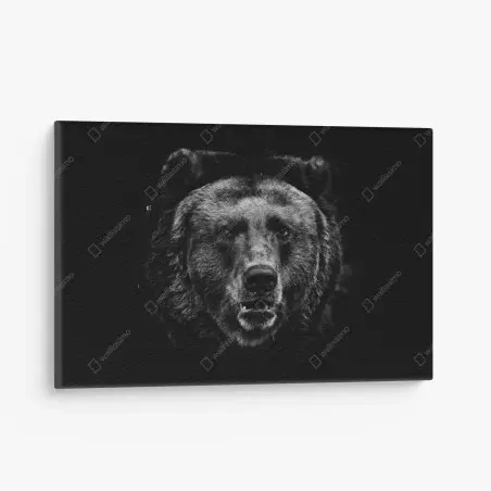 Tableau sur toile portrait d'ours brun en clair-obscur – Wallnifity®
