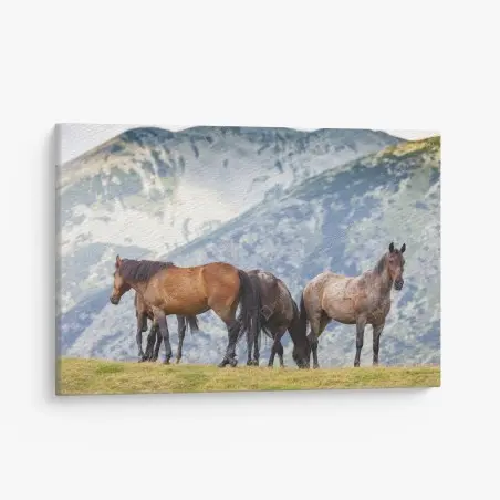 Tableau sur toile chevaux sauvages sur l'alpage – Wallnifity®