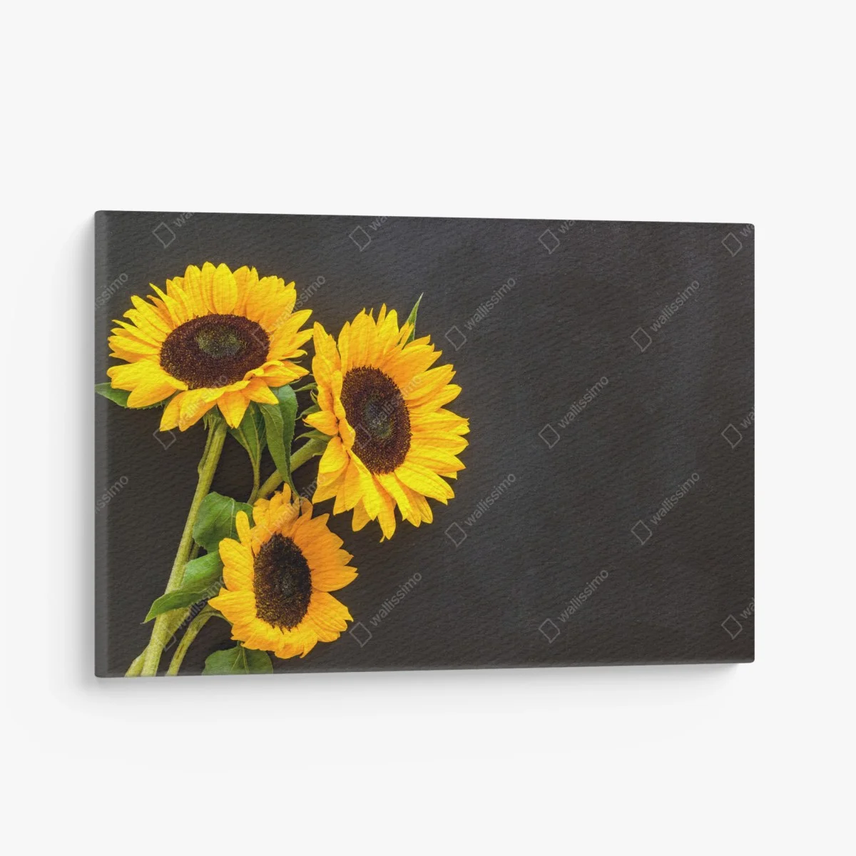 Tableau sur toile bouquet de tournesols sur fond noir – Wallnifity® Tableau sur toile bouquet de tournesols sur fond noir – Wallnifity®