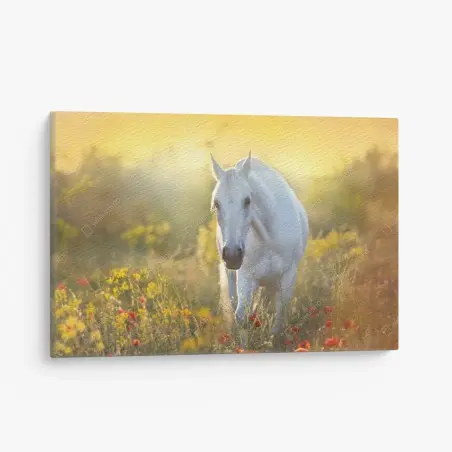 Tableau sur toile cheval blanc dans un champ de coquelicots au lever du soleil – Wallnifity®