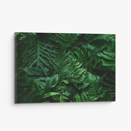 Tableau sur toile jungle de feuilles luxuriantes – Wallnifity®