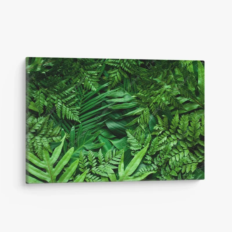 Forêts – Wallnifity®