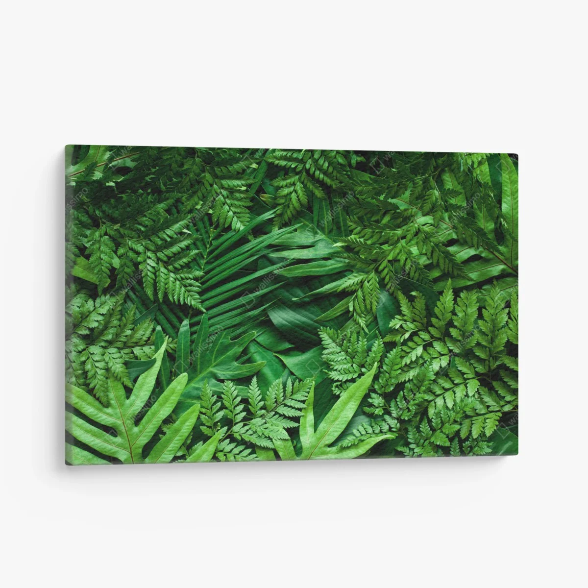 Tableau sur toile végétation tropicale luxuriante – Wallnifity® Tableau sur toile végétation tropicale luxuriante – Wallnifity®
