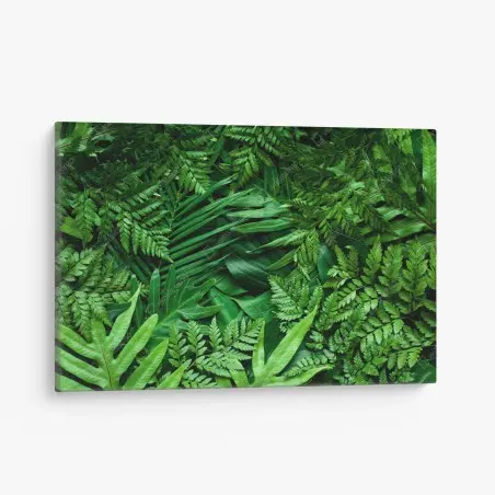 Tableau sur toile végétation tropicale luxuriante – Wallnifity®