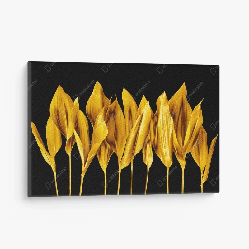 Tableaux sur toile – Wallnifity®