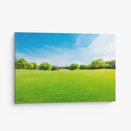 Tableau sur toile prairie verdoyante au printemps – Wallnifity®