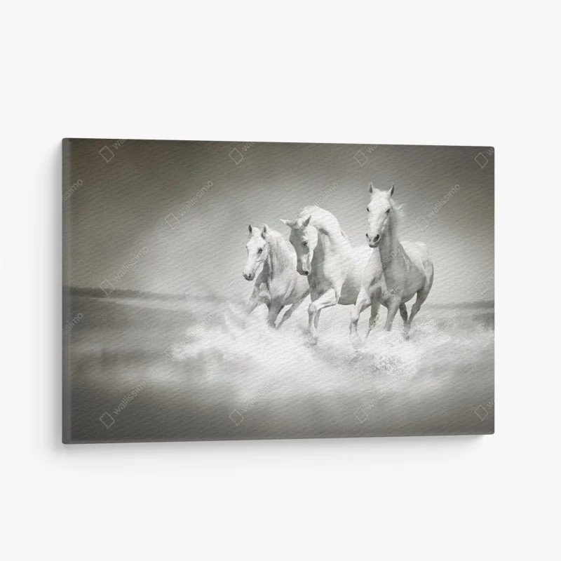Chevaux – Wallnifity®