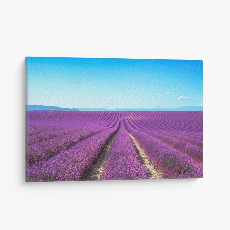 Tableaux sur toile – Wallnifity®