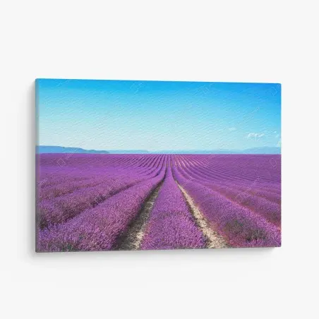 Tableau sur toile champ de lavande en Provence – Wallnifity®