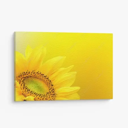 Tableau sur toile tournesol éclatant sur fond jaune – Wallnifity®