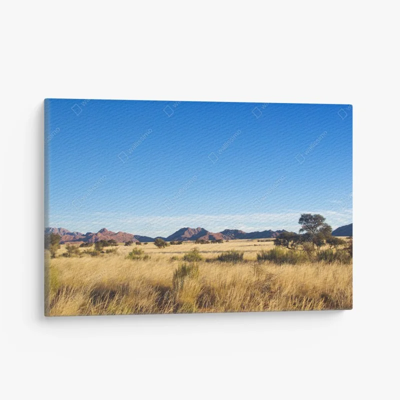 Tableaux sur toile – Wallnifity®
