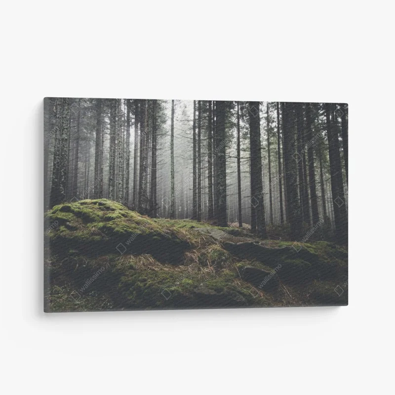 Tableaux sur toile – Wallnifity®