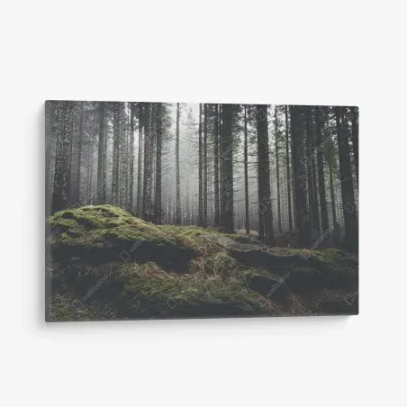 Tableau sur toile forêt brumeuse aux rochers moussus – Wallnifity®