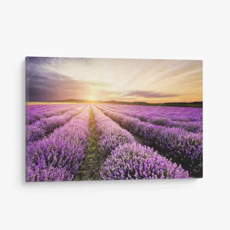 Tableau sur toile champ de lavande au lever du soleil en Bulgarie – Wallnifity®