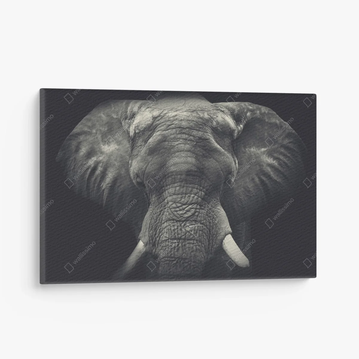 Tableau sur toile portrait monochrome d'éléphant majestueux – Wallnifity® Tableau sur toile portrait monochrome d'éléphant majestueux – Wallnifity®