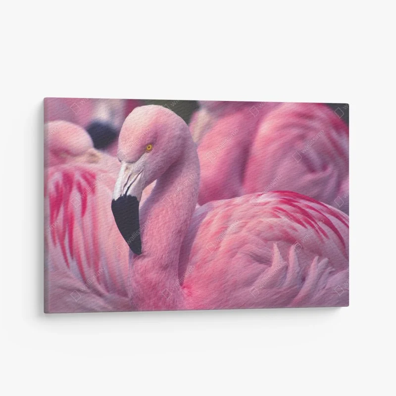Oiseaux – Wallnifity®