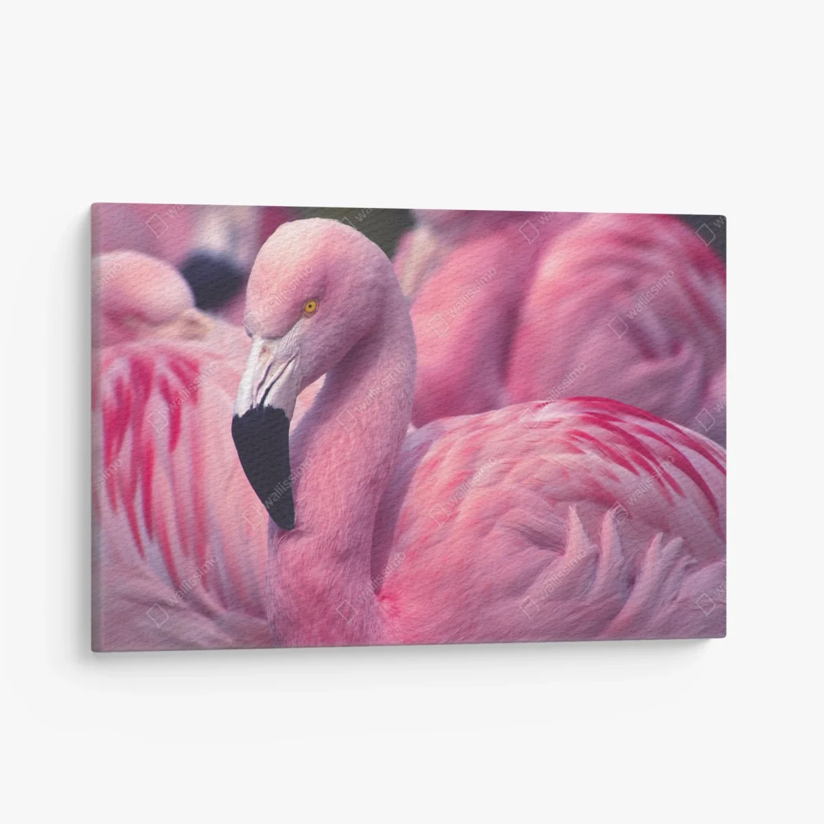 Tableau sur toile élégance du flamant rose – Wallnifity® Tableau sur toile élégance du flamant rose – Wallnifity®
