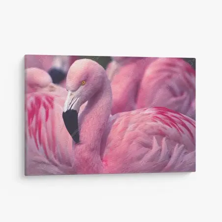 Tableau sur toile élégance du flamant rose – Wallnifity®