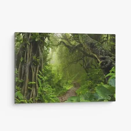 Tableau sur toile chemin secret dans la forêt tropicale – Wallnifity®