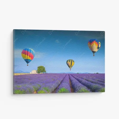 Tableau sur toile champ de lavande à Valensole sous montgolfières – Wallnifity®