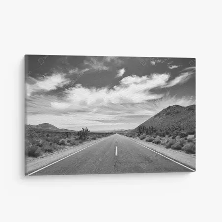 Tableau sur toile route désertique de Death Valley en noir et blanc – Wallnifity®