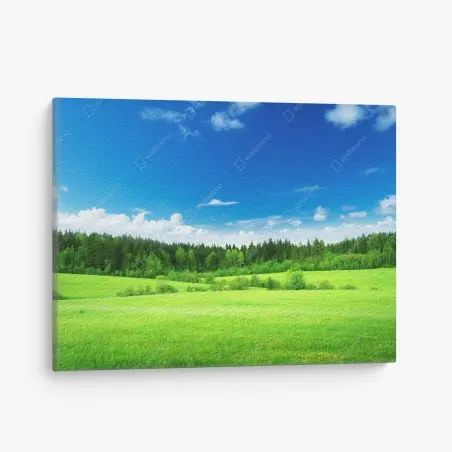 Tableau sur toile prairie printanière au bord de la forêt – Wallnifity®