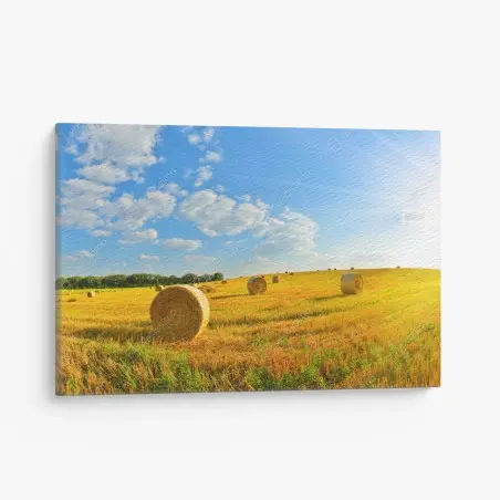 Tableau sur toile champ doré de bottes de foin au soleil – Wallnifity®