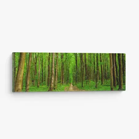 Tableau sur toile forêt printanière au sentier lumineux – Wallnifity®