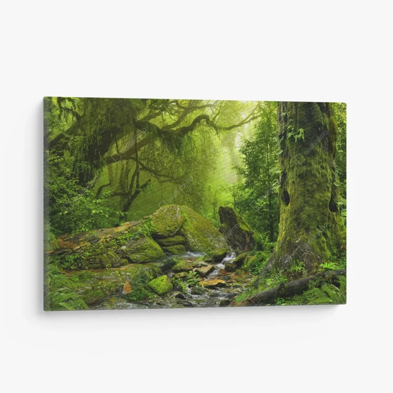 Tableaux sur toile – Wallnifity®