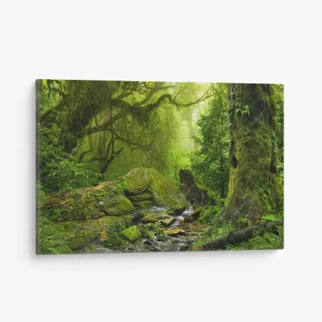 Tableau sur toile clairière verte enchantée – Wallnifity®