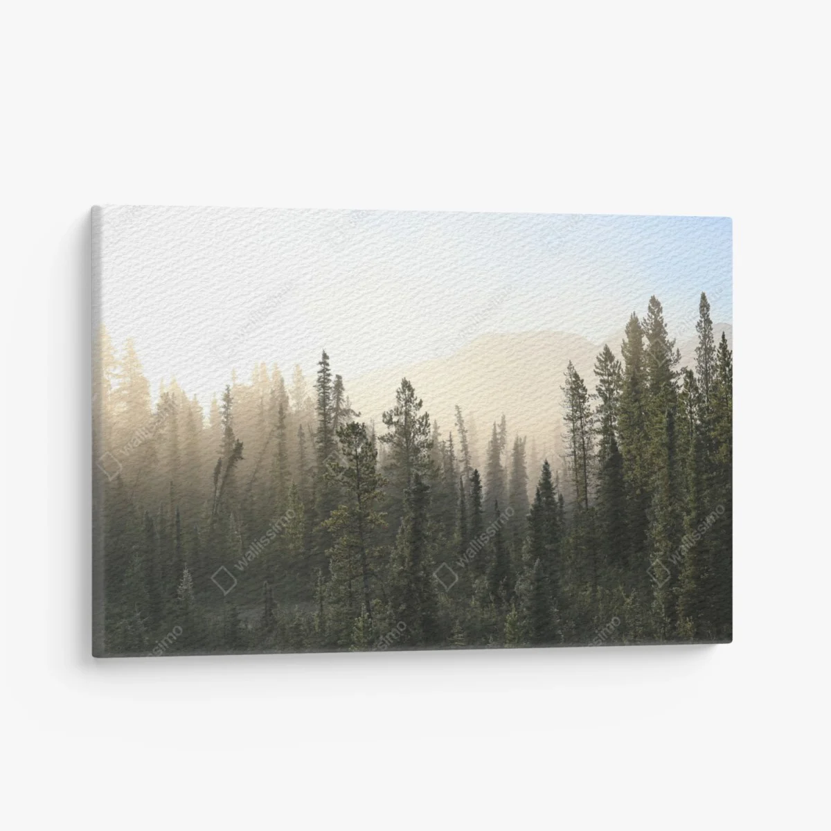 Tableau sur toile forêt brumeuse au lever du soleil – Wallnifity® Tableau sur toile forêt brumeuse au lever du soleil – Wallnifity®