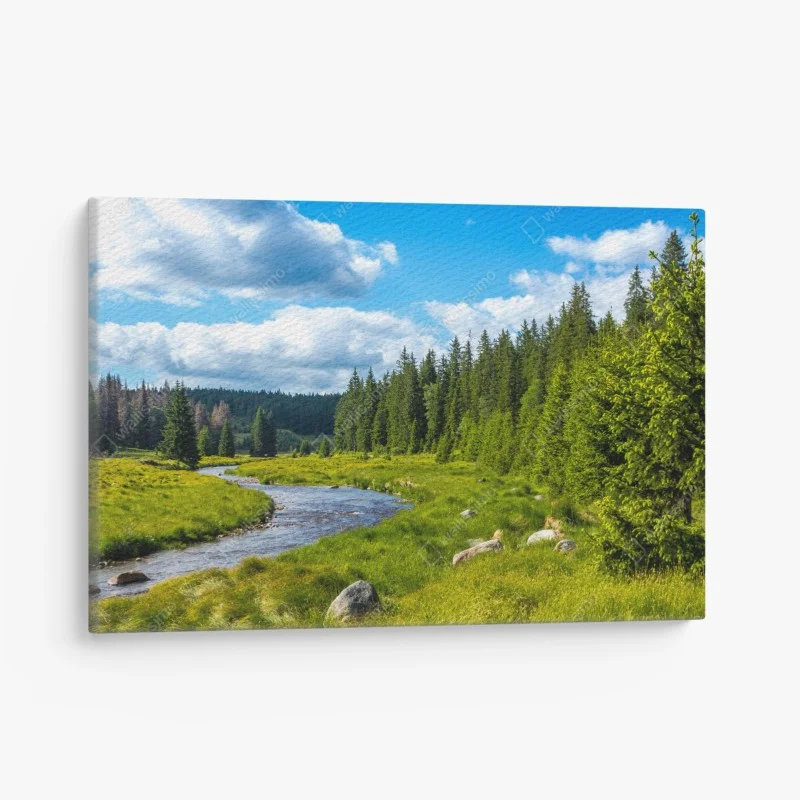 Tableaux sur toile – Wallnifity®