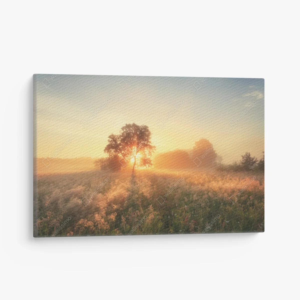 Tableau sur toile aube dorée sur la prairie – Wallnifity® Tableau sur toile aube dorée sur la prairie – Wallnifity®