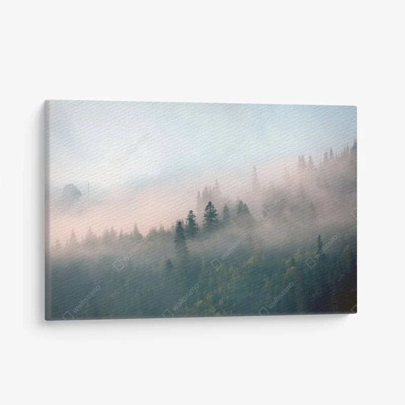 Forêts – Wallnifity®