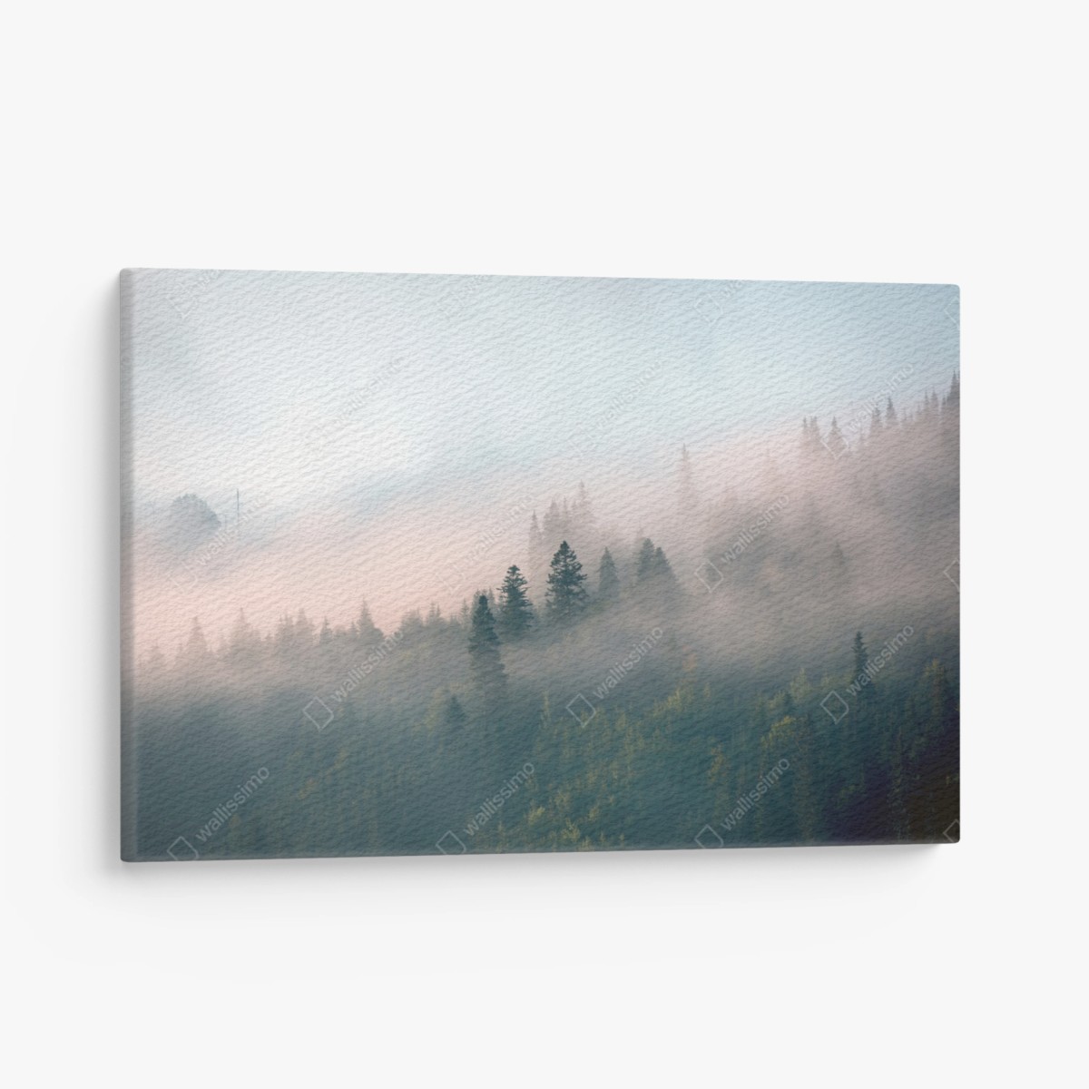 Tableau sur toile brume matinale en forêt – Wallnifity®