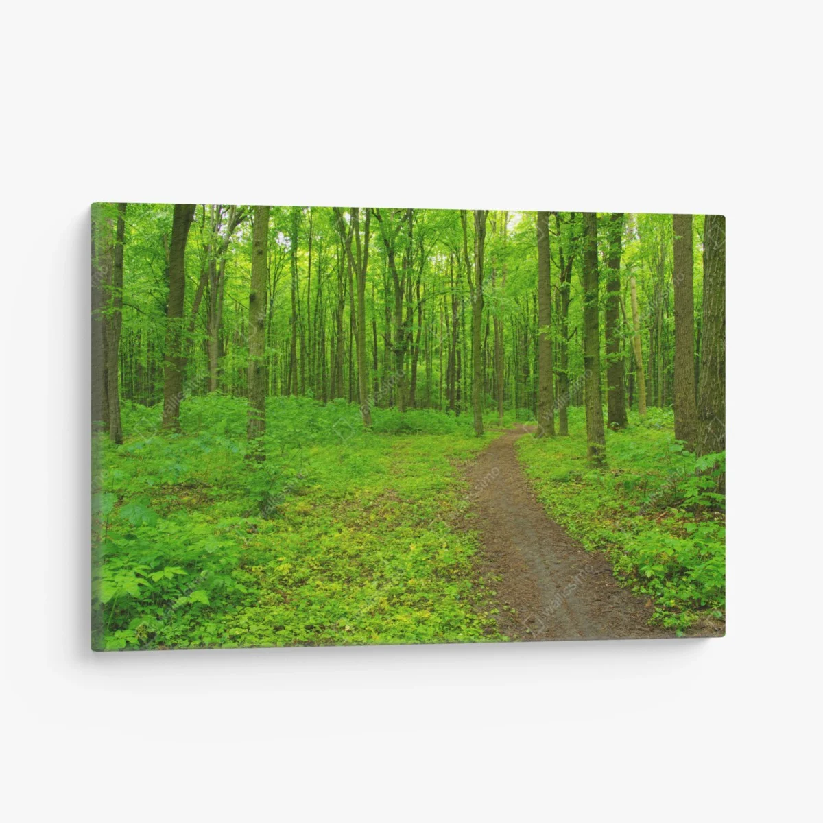 Tableau sur toile forêt verdoyante et sentier sinueux – Wallnifity® Tableau sur toile forêt verdoyante et sentier sinueux – Wallnifity®