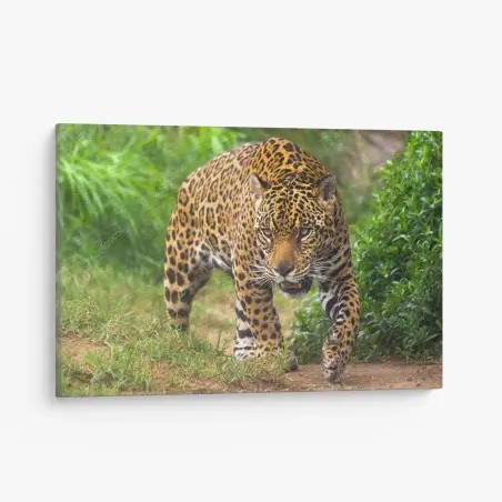 Tableau sur toile jaguar en approche – Wallnifity®