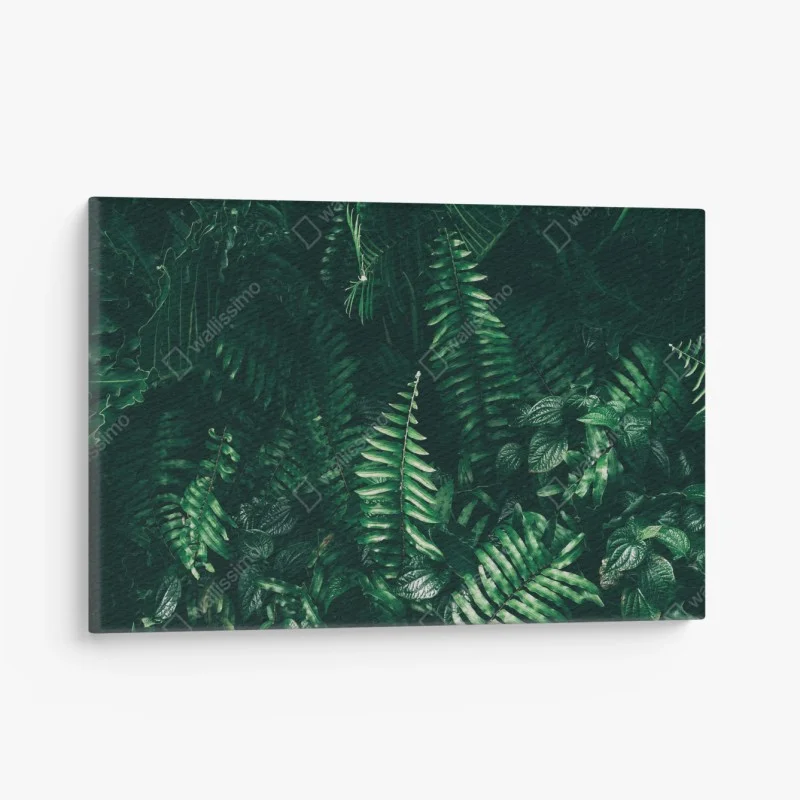 Tableaux sur toile – Wallnifity®