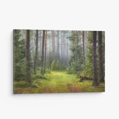 Tableau sur toile sentier lumineux dans la forêt brumeuse – Wallnifity®