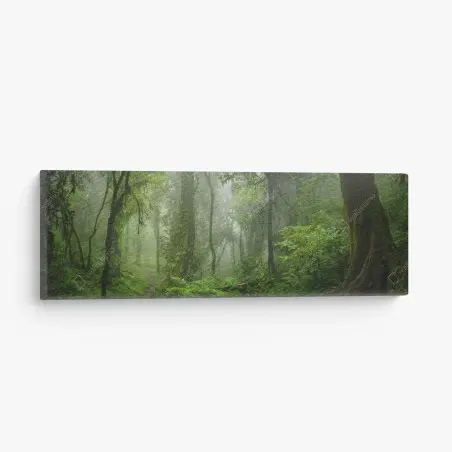 Tableau sur toile brume verte dans la forêt tropicale d'Asie du Sud-Est – Wallnifity®