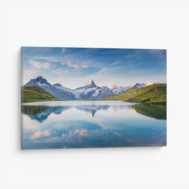Biophilique – Wallnifity®