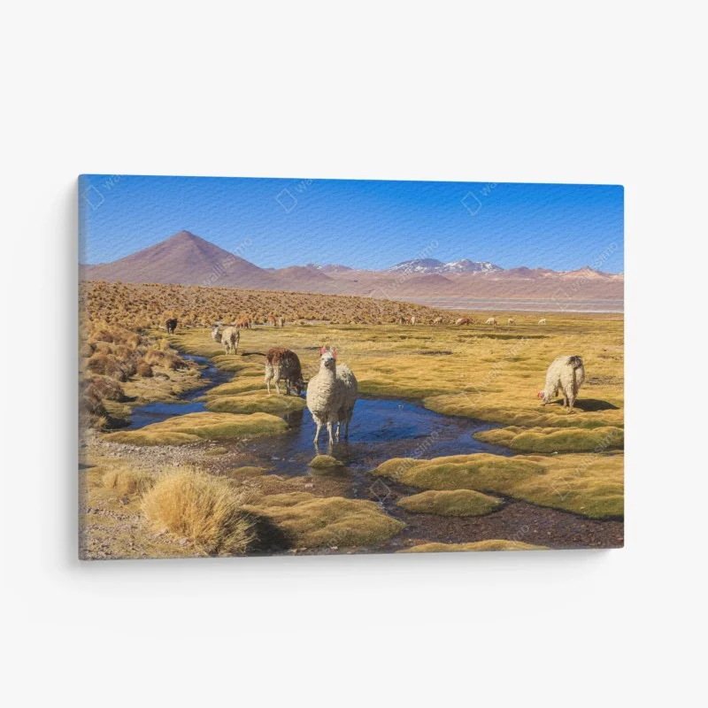 Tableaux sur toile – Wallnifity®