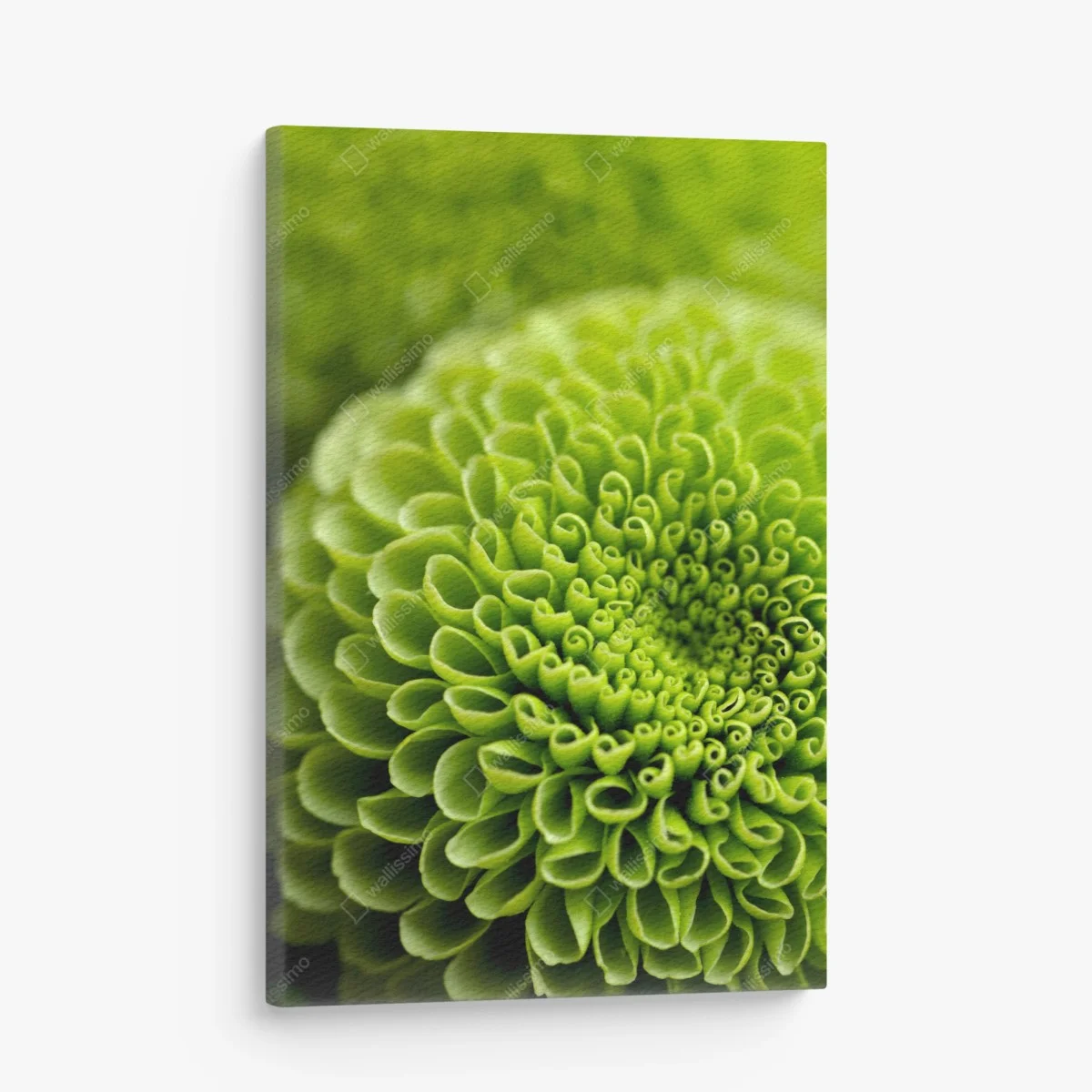 Tableau sur toile spirale florale verte en gros plan – Wallnifity® Tableau sur toile spirale florale verte en gros plan – Wallnifity®