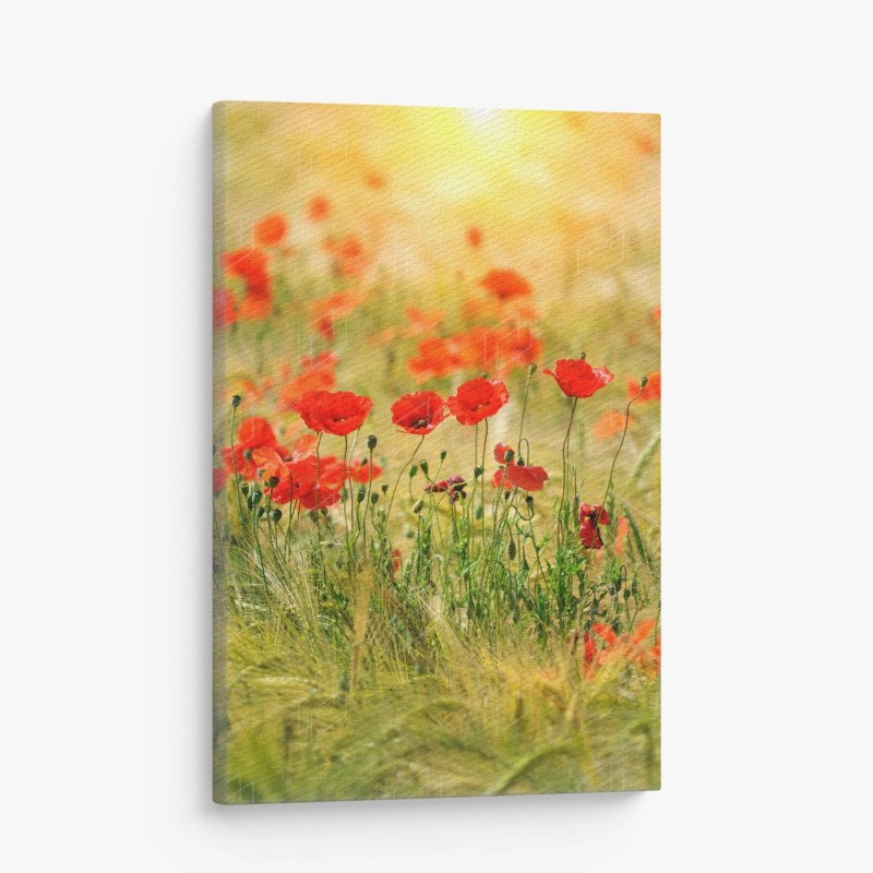Tableau sur toile champ de coquelicots au soleil doré