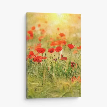 Tableau sur toile champ de coquelicots au soleil doré – Wallnifity®