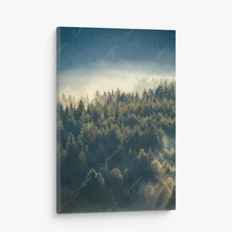 Tableau sur toile brume matinale sur la pinède montagneuse – Wallnifity®
