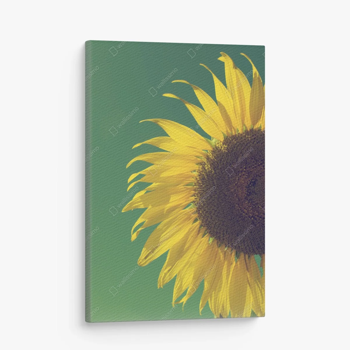 Tableau sur toile tournesol rétro sur fond vert – Wallnifity® Tableau sur toile tournesol rétro sur fond vert – Wallnifity®